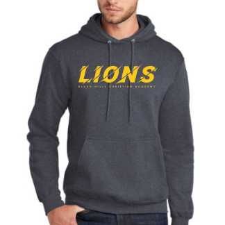 BHCA - Port & Company® Core Fleece Pullover Hooded Torn Lions Sweatshirt
